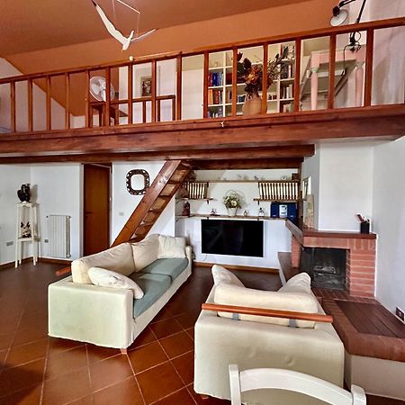 Amazing House 10 Min By Car From The Beach Ольбія Екстер'єр фото