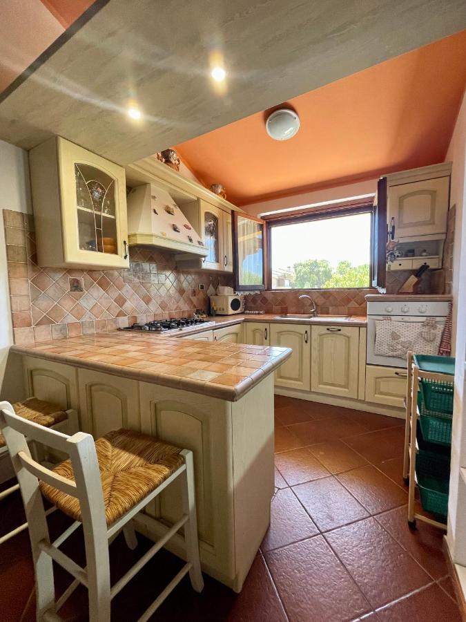 Amazing House 10 Min By Car From The Beach Ольбія Екстер'єр фото